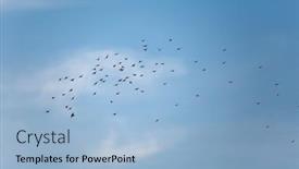  Presentation with birds flying - PPT theme featuring birds-flying-against-blue-sky background and a light blue colored foreground