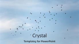  Presentation with birds flying - Presentation with birds flying in the sky background and a light blue colored foreground