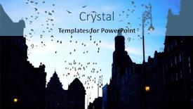  Presentation with birds flying - Presentation design having birds-flying-over-main-square background and a light blue colored foreground