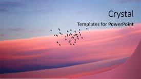  Presentation with migration - Audience pleasing PPT theme consisting of birds migration silhouette backdrop and a light blue colored foreground