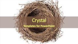  Presentation with cut - Amazing theme having bird's nest cut backdrop and a tawny brown colored foreground