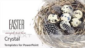 Presentation with bird eggs - Beautiful presentation featuring birds nest with eggs easter backdrop and a white colored foreground