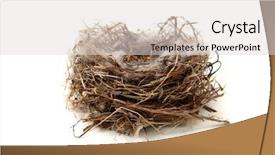  Presentation with birds formations - Presentation theme featuring birds nest background and a light gray colored foreground