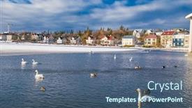  Presentation with birds - Beautiful slide deck featuring birds-on-a-thermal-tjornin backdrop and a ocean colored foreground