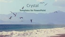  Presentation with costa rica - Colorful PPT theme enhanced with birds-on-costa-rica-coast backdrop and a  colored foreground