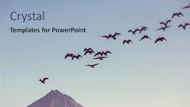  Presentation with volcano - Presentation featuring birds-on-taranaki-volcano-background background and a light blue colored foreground