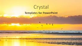  Presentation with birds - Theme having birds-on-the-ocean-beach background and a blonde colored foreground