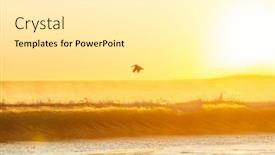  Presentation with birds - Presentation design with birds-on-the-ocean-beach background and a white colored foreground