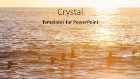  Presentation with birds - Presentation with birds-on-the-ocean-beach background and a lemonade colored foreground