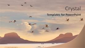  Presentation with birds - Slide deck featuring birds-on-the-ocean-beach background and a coral colored foreground