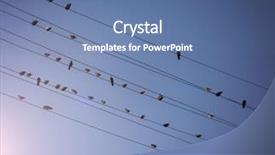  Presentation with blue sky - Amazing presentation design having birds on wires over blue backdrop and a ocean colored foreground