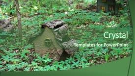  Presentation with fairy garden - Colorful theme enhanced with birds or fairy house backdrop and a ocean colored foreground