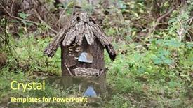  Presentation with fairy garden - Audience pleasing slides consisting of birds or fairy house backdrop and a tawny brown colored foreground