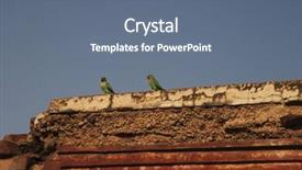  Presentation with birds - Slide set featuring birds-perching-on-a-wall background and a ocean colored foreground