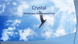  Presentation with bird - Theme consisting of birds sky - bird flying to the sun background and a light blue colored foreground