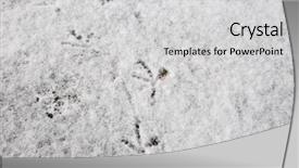 Presentation with footprints - Slides with birds traces on snow background and a light gray colored foreground