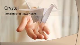  Presentation with crane - Beautiful slide set featuring birds white - closeup of female hand backdrop and a lemonade colored foreground