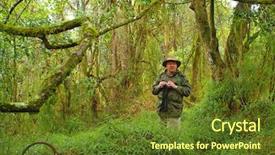  Presentation with tropical forest - PPT theme having birdwatcher in tropical forest background and a tawny brown colored foreground