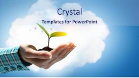  Presentation with new birth - Slides enhanced with birth of new life mixed background and a light blue colored foreground