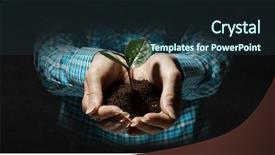  Presentation with new birth - Cool new presentation design with soil pollution save planet - birth of new life mixed backdrop and a tawny brown colored foreground
