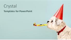  Presentation with birthday party - Amazing presentation design having birthday-dog-celebrating-with-party backdrop and a sky blue colored foreground