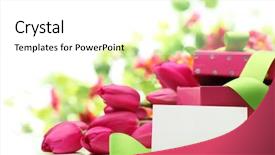  Presentation with gift card envelope - Presentation design enhanced with birthday gifts - pink tulips blank card background and a white colored foreground