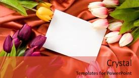  Presentation with birthday greetings - Amazing slide deck having birthday greetings - envelope and flowers backdrop and a red colored foreground