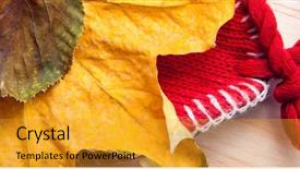  Presentation with knitted knitting needle - Audience pleasing PPT layouts consisting of birthday november - autumn still life knitted cap backdrop and a gold colored foreground