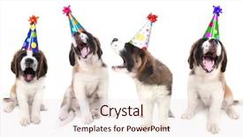  Presentation with birthday - Beautiful presentation theme featuring birthday singing saint bernard dogs backdrop and a lemonade colored foreground