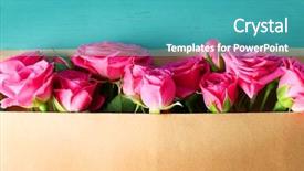  Presentation with envelope - Presentation theme enhanced with birthday spring - beautiful roses in envelope background and a teal colored foreground
