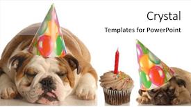  Presentation with animals - Beautiful theme featuring birthday wishes - party animals - an english backdrop and a  colored foreground
