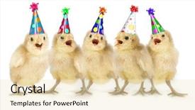  Presentation with birthday - Presentation design having birthday yellow baby chicks lined background and a lemonade colored foreground