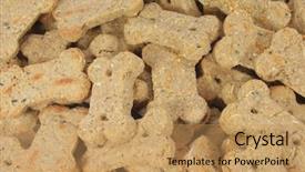  Presentation with bone - Colorful presentation enhanced with biscuits shaped into a bone backdrop and a coral colored foreground