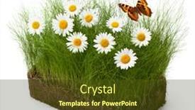  Presentation with summer - PPT theme enhanced with bit-of-summer-isolated background and a tawny brown colored foreground