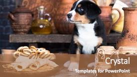  Presentation with dog food - Amazing slide deck having bitch - entlebucher mountain dog puppy backdrop and a coral colored foreground