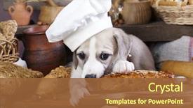  Presentation with puppy - Slide set with chef's cap bite background and a tawny brown colored foreground
