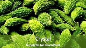  Presentation with bitter - Theme having bitter gourd - balsam apple background and a tawny brown colored foreground