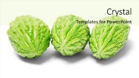  Presentation with bitter - Cool new slides with bitter gourd - three bittergourd melons on white backdrop and a blonde colored foreground