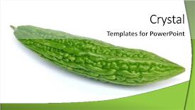  Presentation with bitter - Amazing PPT theme having bitter gourd backdrop and a white colored foreground