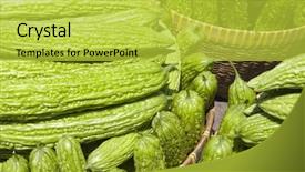  Presentation with bitter - Audience pleasing presentation consisting of bitter gourd backdrop and a yellow colored foreground