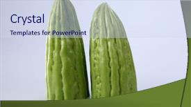  Presentation with bitter - Theme enhanced with bitter guard on the white background and a  colored foreground