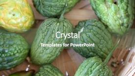  Presentation with grown - Presentation design enhanced with bitter melon home grown bitter background and a ocean colored foreground