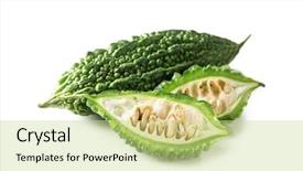  Presentation with bitter melon - Cool new PPT layouts with bitter melon isolated backdrop and a soft green colored foreground