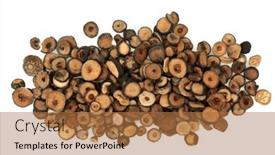  Presentation with orange plant - PPT theme enhanced with bitter-orange-dried-citrus-fruit background and a coral colored foreground