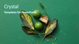  Presentation with jelly - Presentation theme enhanced with bitterswett - green chocolate candy with jelly background and a ocean colored foreground