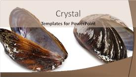 Presentation with mollusk - Presentation featuring bivalve-mollusk-shells-of-mussel background and a coral colored foreground