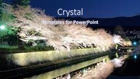  Presentation with sakura - Colorful presentation theme enhanced with biwa canal with sakura tree in kyoto backdrop and a navy blue colored foreground