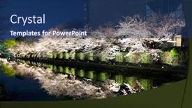  Presentation with sakura - Audience pleasing presentation theme consisting of biwa lake canal with sakura tree besides at night backdrop and a navy blue colored foreground