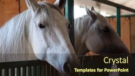  Presentation with fair - Presentation theme having bjelovar-croatia-september-06-2013 background and a wine colored foreground