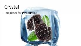 Presentation with cube - Cool new PPT layouts with bl - blackberries in ice cube backdrop and a  colored foreground